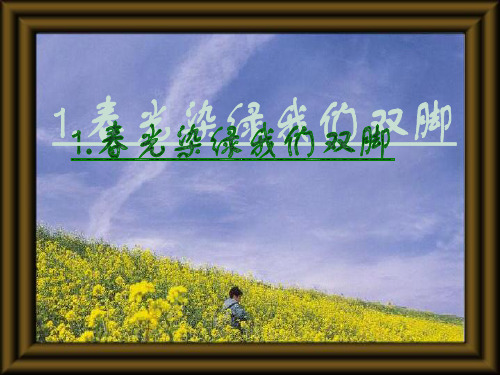 春光染绿我们双脚PPT优选课件