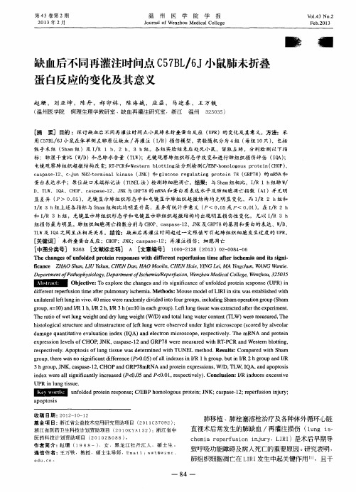 缺血后不同再灌注时问点C57BL／6J小鼠肺未折叠蛋白反应的变化及其意义