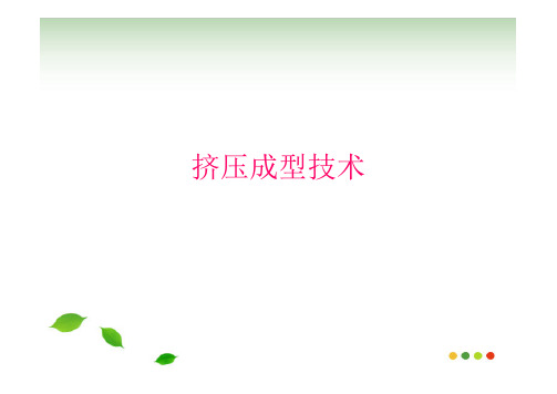 挤压成型技术