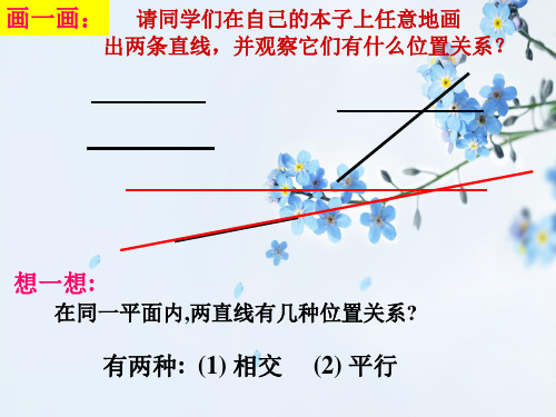平行线及其判定PPT教学课件