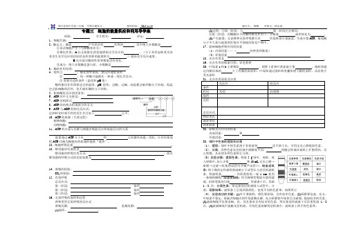 高三生物专题细胞代谢导学案16K双面1100份