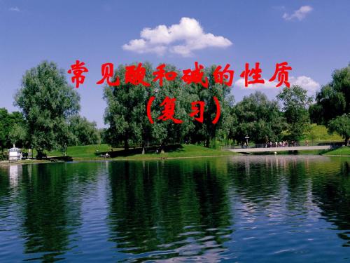 【初中化学】常见酸和碱的性质PPT课件 鲁教版