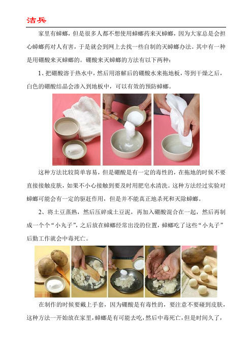 硼酸拖地真的就没蟑螂