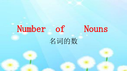 名词的数