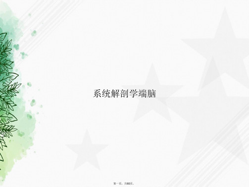 系统解剖学端脑讲课文档