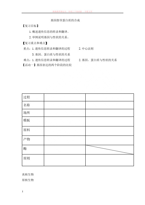 基因的表达复习学案 