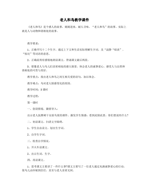 老人和鸟教学课件