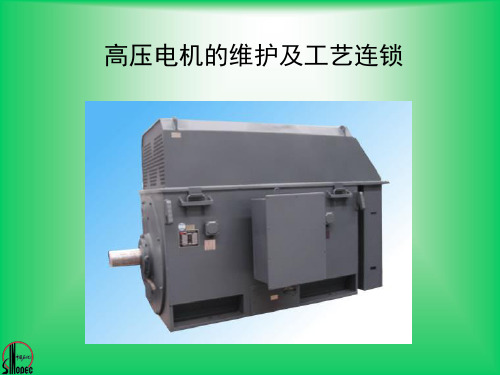 高压电机的维护及工艺联锁