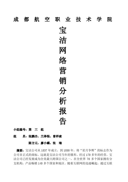 宝洁网络营销分析报告
