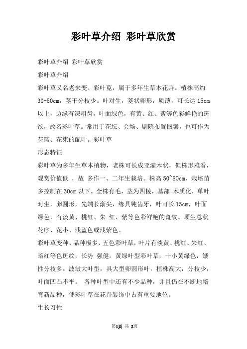 彩叶草介绍 彩叶草欣赏