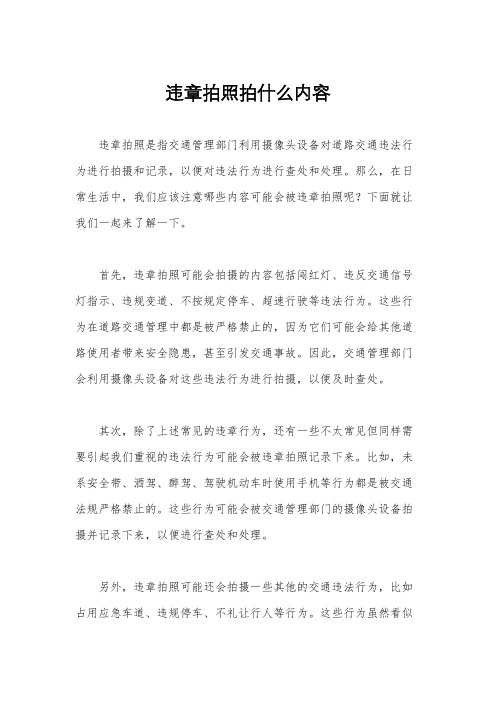 违章拍照拍什么内容