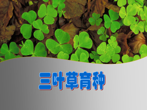 牧草及饲料作物育种学——三叶草育种资料