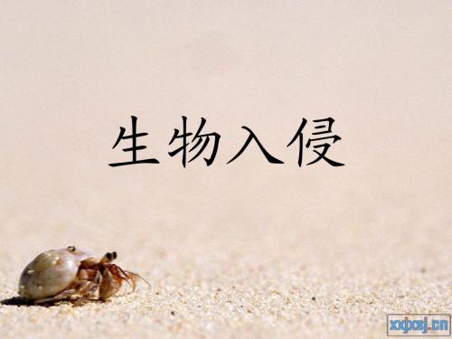 生态学生物入侵PPT