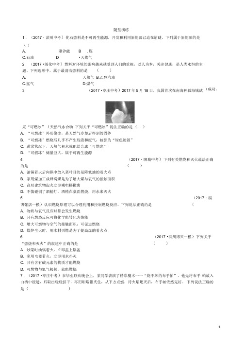 (淄博专版)中考化学复习第一部分八全第六单元燃烧与燃料(一)随堂演练鲁教版