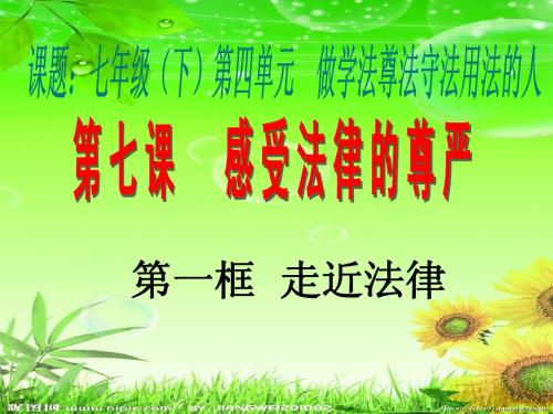 人教版七年级下册第七课第一框走近法律(共38张PPT)