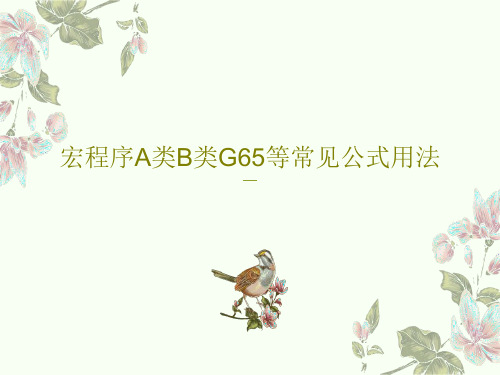 宏程序A类B类G65等常见公式用法55页PPT