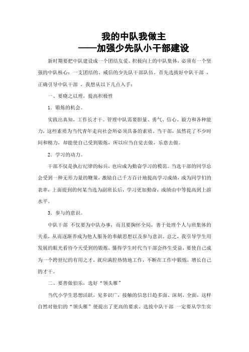我的中队我做主——加强少先队干部建设