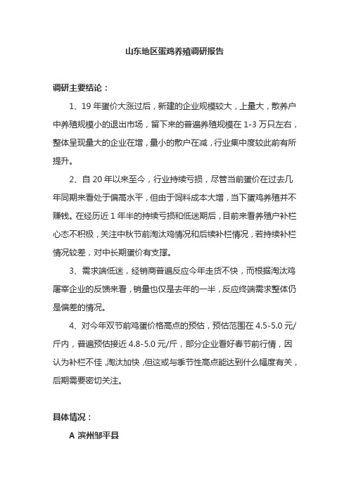 山东地区蛋鸡养殖调研报告