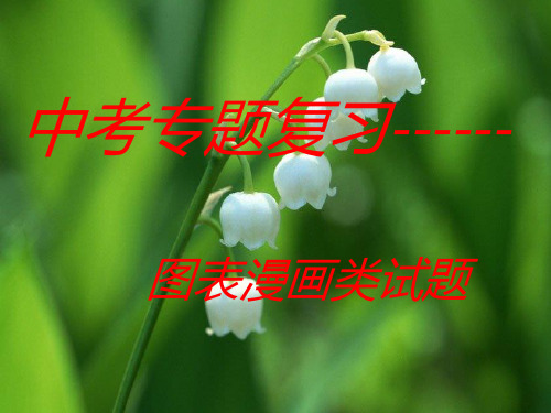 江苏省2015年中考语文专题复习：图表题漫画徽标(共28张PPT)