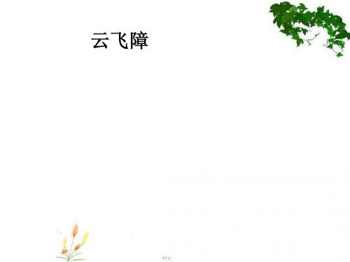 云飞障