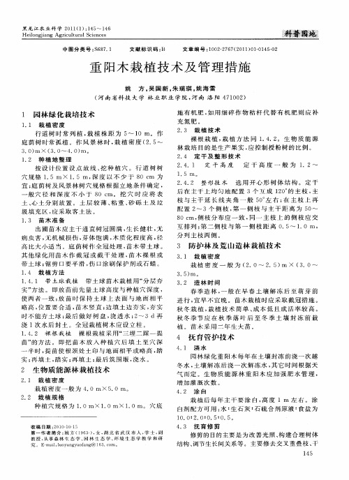 重阳木栽植技术及管理措施