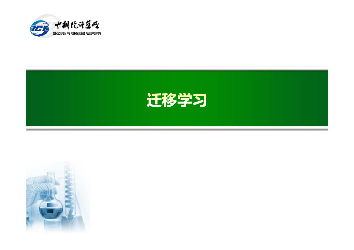迁移学习的分类方法