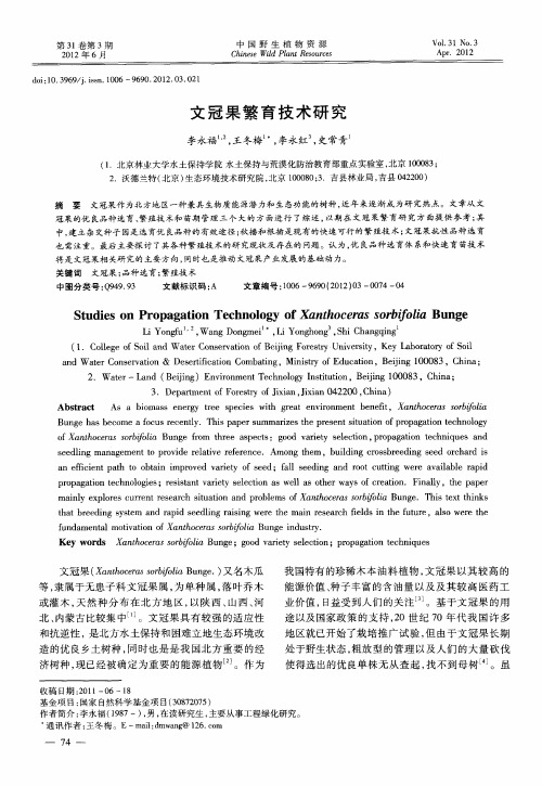 文冠果繁育技术研究