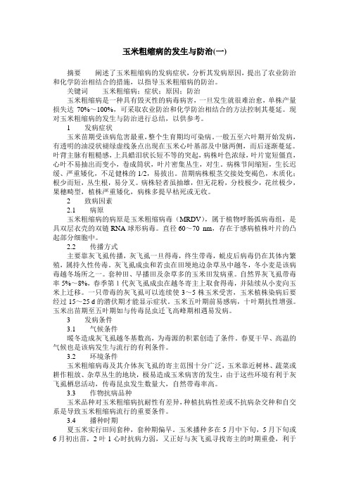 玉米粗缩病的发生与防治(一)