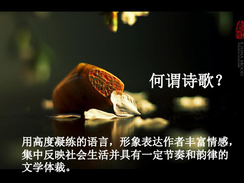 职高语文 微型诗四首上课用