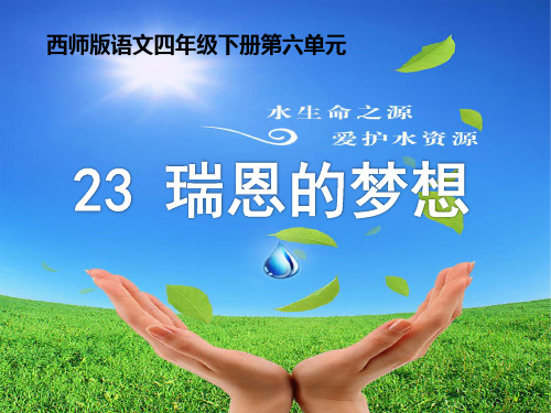 《瑞恩的梦想》ppt课件(5篇)