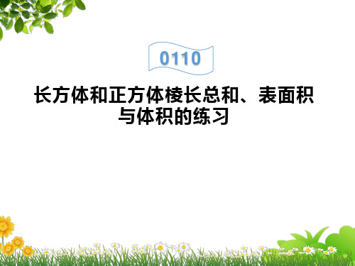 小学六年级数学上册长方体和正方体棱长总和、表面积与体积的练习课件