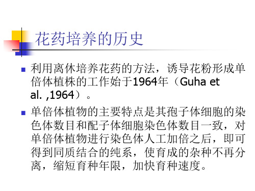 花药培养