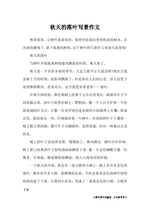 秋天的落叶写景作文_描写作文