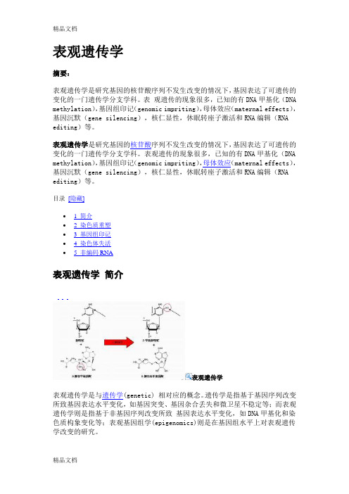 表观遗传学知识讲解