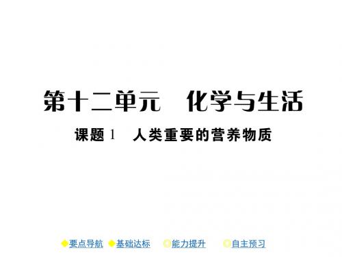 人教版九年级化学下册第十二单元化学与生活PPT复习课件全套