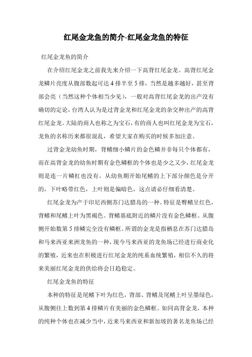 红尾金龙鱼的简介-红尾金龙鱼的特征