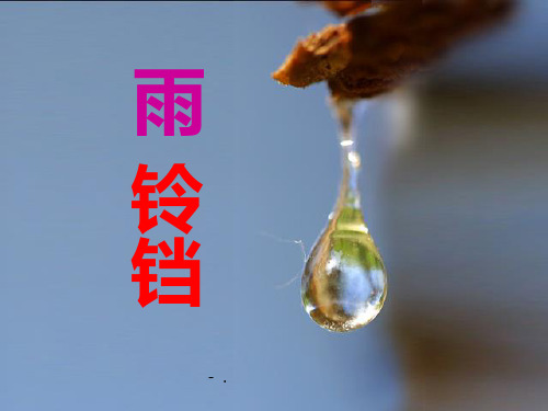 《雨铃铛》PPT课件3