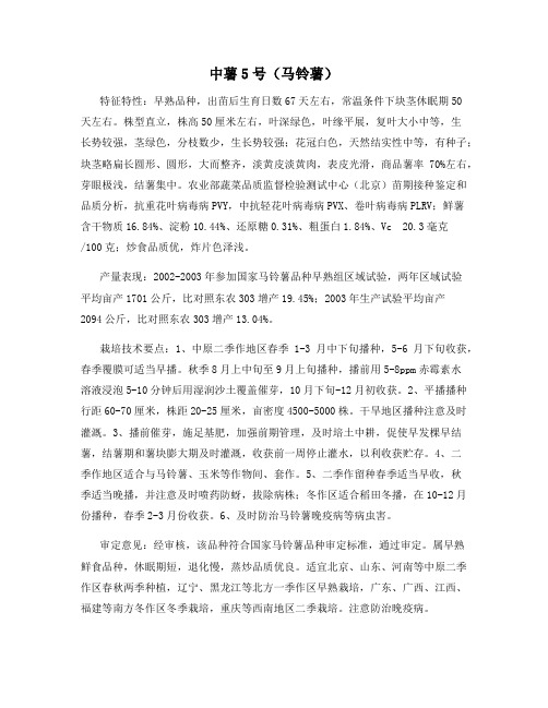 中薯5号(马铃薯)