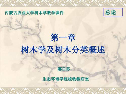 树木学知识