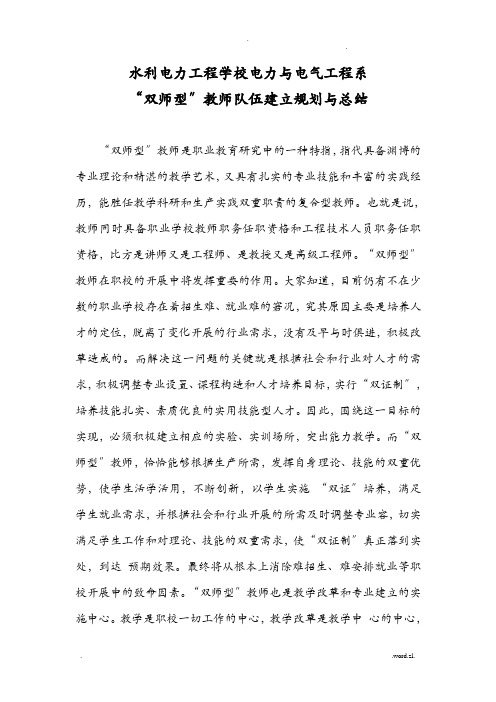 双师型教师队伍建设规划及总结
