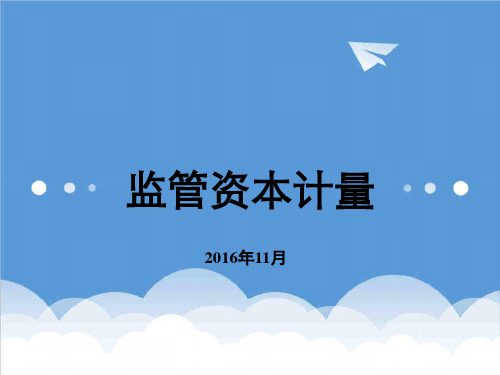 资本管理-监管资本计量 精品