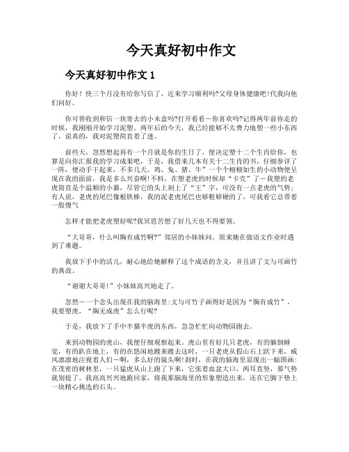 今天真好初中作文