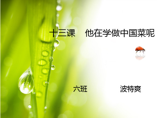 对外汉语综合课.资料