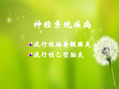 病理学流脑和乙脑.ppt