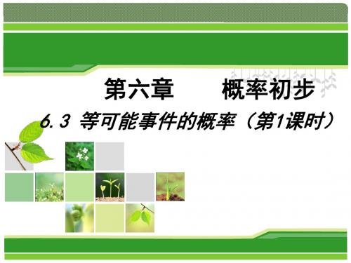 北师大版七年级数学下册《六章 概率初步  3 等可能事件的概率  等可能事件的概率计算》公开课课件_21
