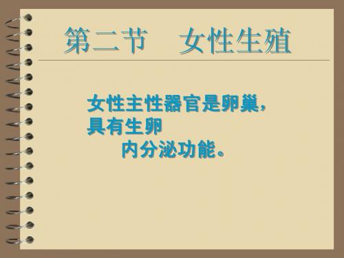 12章 女性生殖