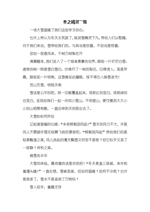 高一作文：冬之精灵作文700字