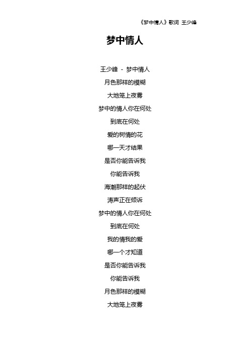《梦中情人》歌词 王少峰
