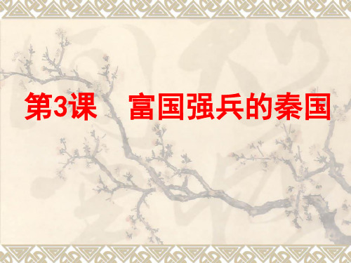 2-3富国强兵的秦国