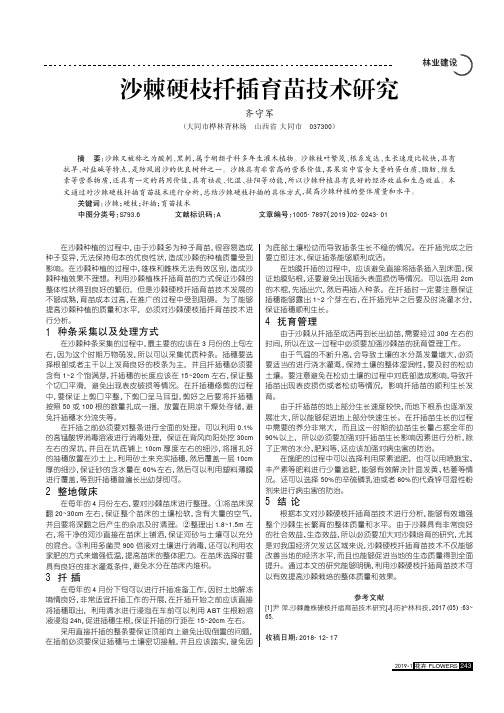 沙棘硬枝扦插育苗技术研究